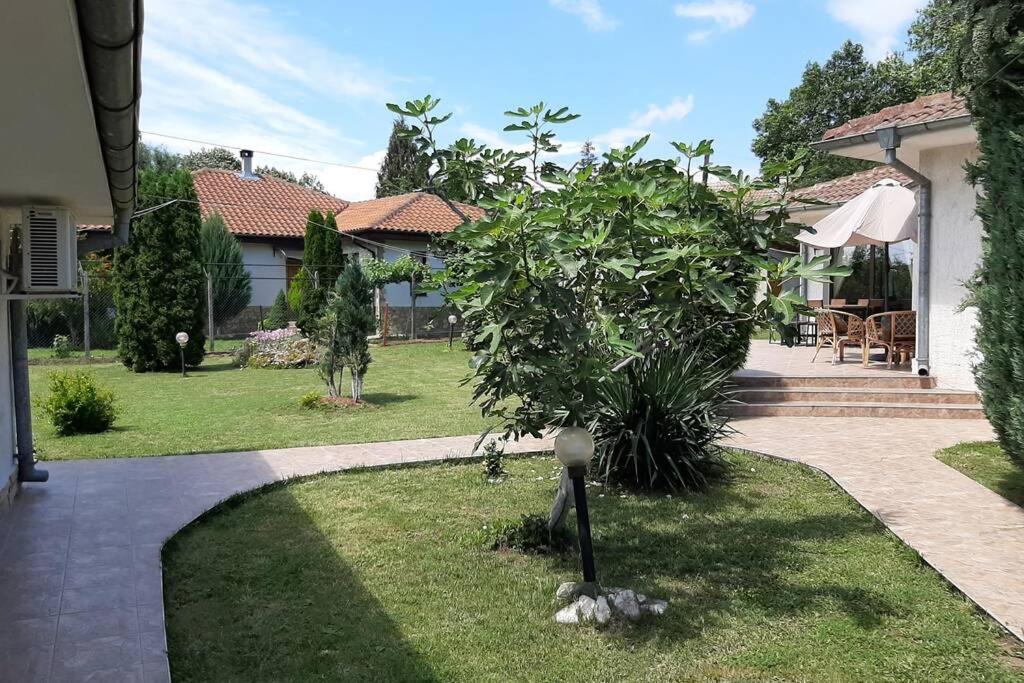 Guesthouse Oasis-Shabla Exterior foto